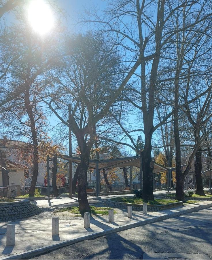 Fbm Anagenessis - ευ ζην Apartment