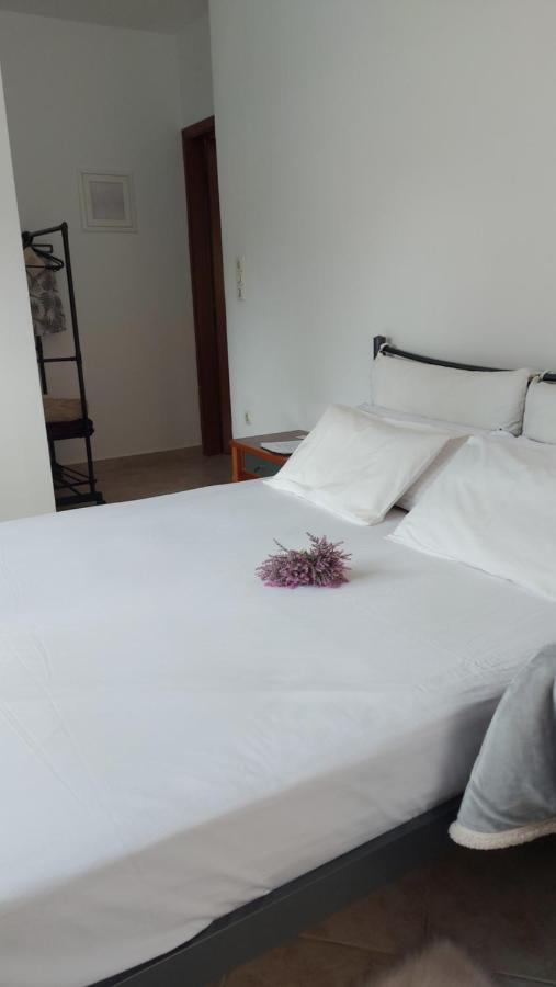 Fbm Anagenessis - ευ ζην Apartamento