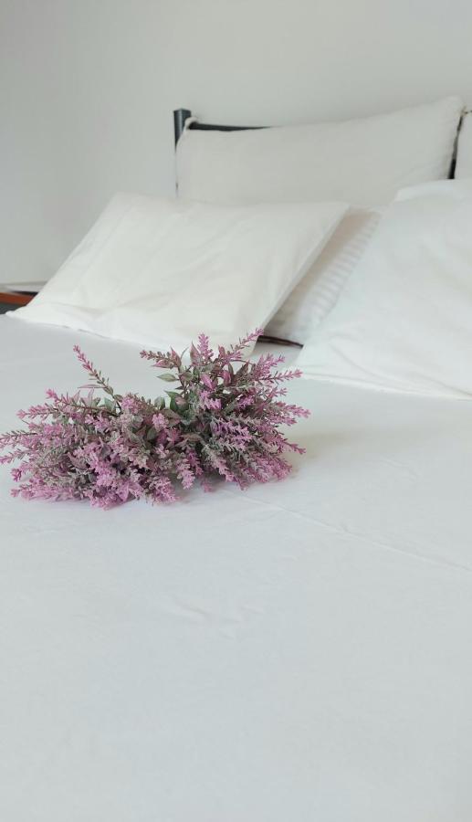 Fbm Anagenessis - ευ ζην Apartment